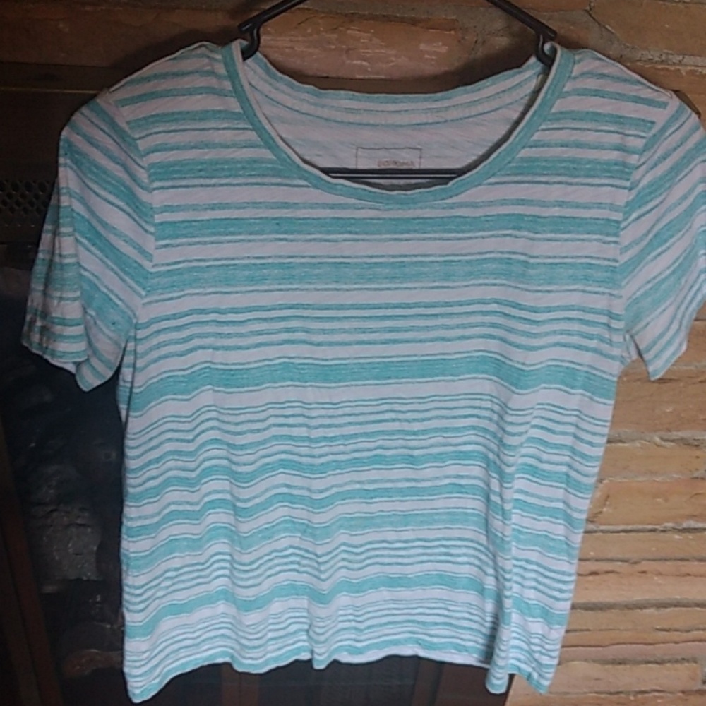 Blue and white striped shirt